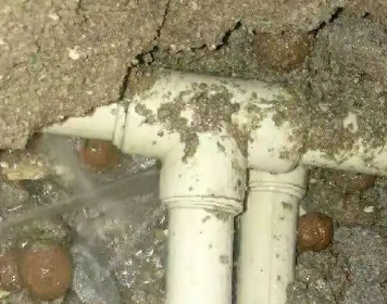 泉港测漏水多少钱