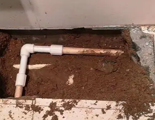 泉港测漏水哪家好