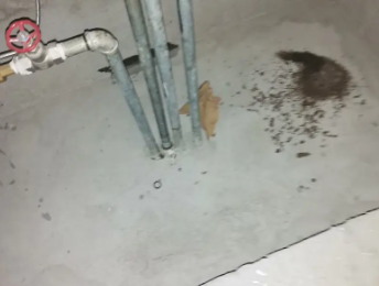 泉港卫生间测漏水价格明细