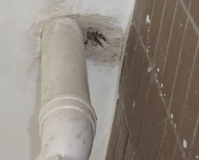 泉港漏水检测哪家好